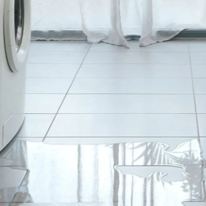 Appliance Leak Cleanup in Rising Sun, IN