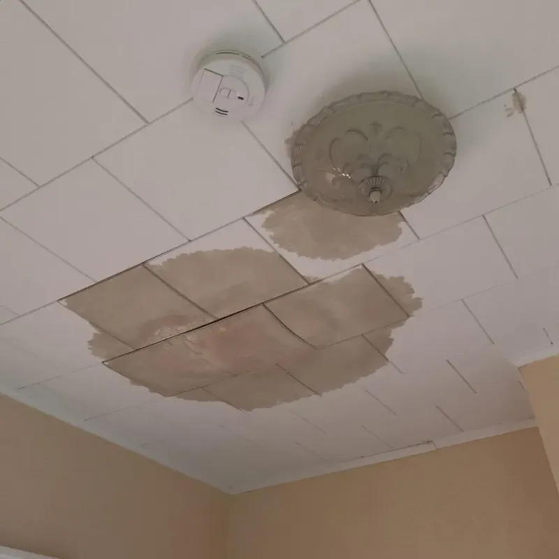 Ceiling Water Damage Repair in Rising Sun, IN