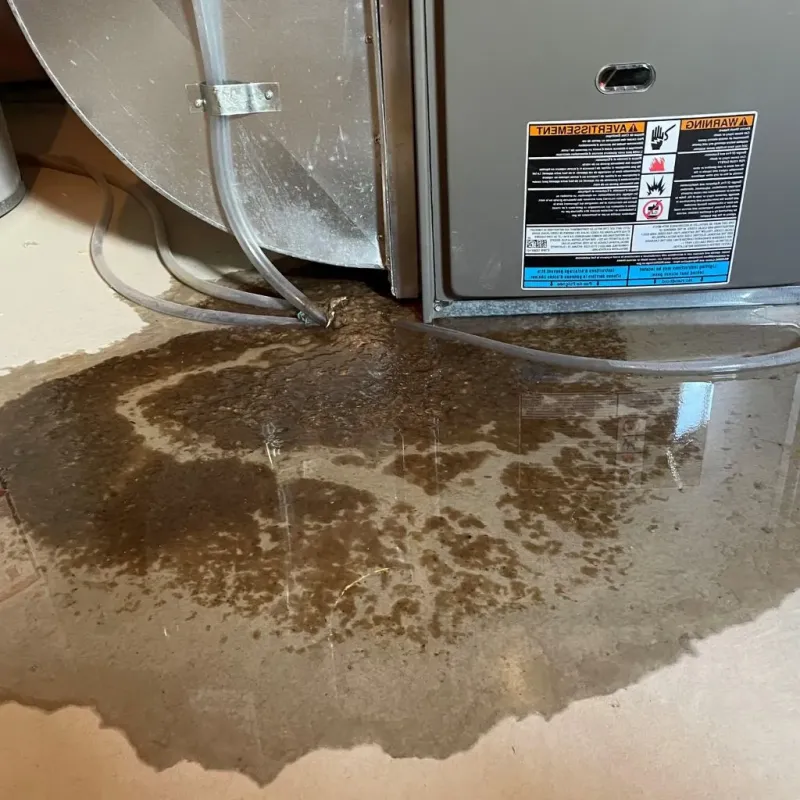 Pipe Burst and Leak Restoration in Rising Sun, IN