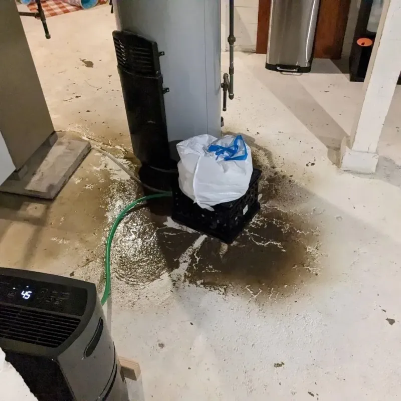 Sewage Backup Cleanup Service in Rising Sun, IN